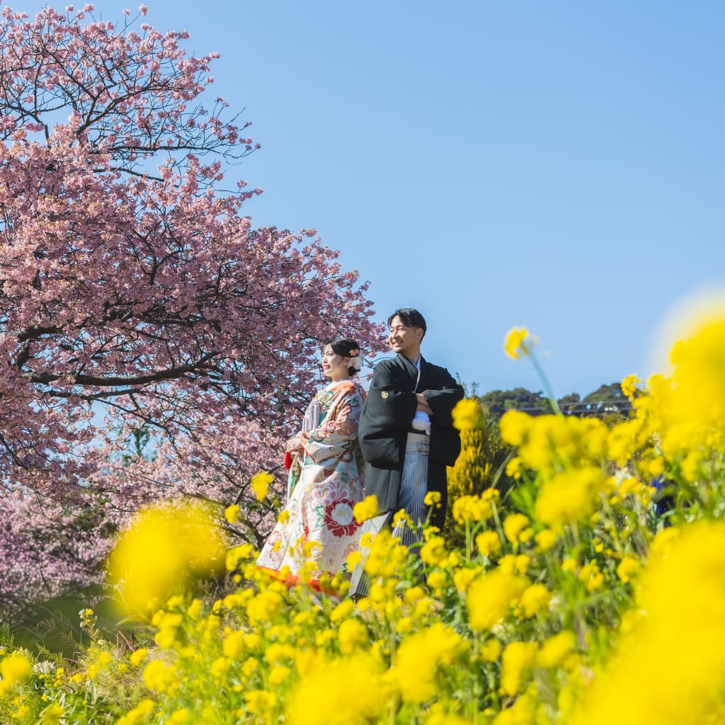 春を先取り！河津桜プラン！