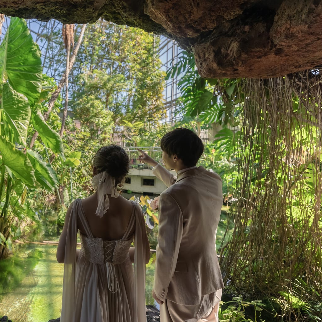 夢の島 熱帯植物館