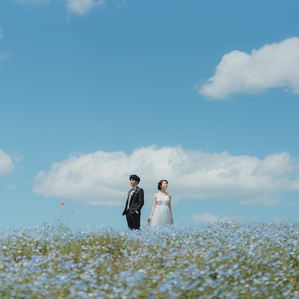 ひたち海浜公園のポテンシャル！ | デコルテフォトグラフィー | 前撮り・フォトウェディング