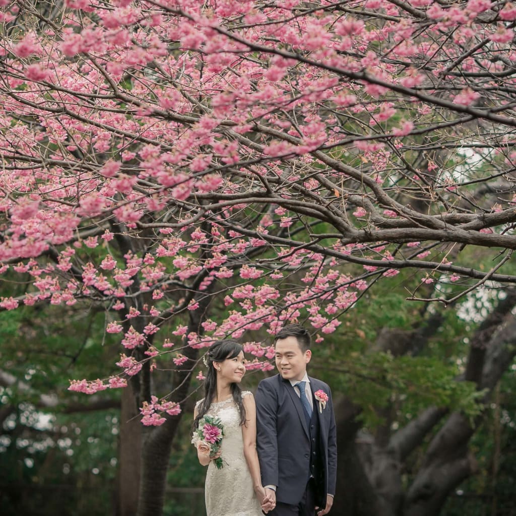 本牧山頂公園