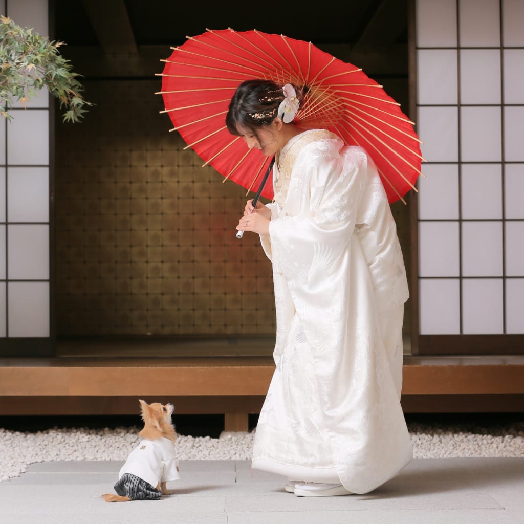 屋内庭園スタジオでペットとの撮影 | デコルテフォトグラフィー | 前撮り・フォトウェディング