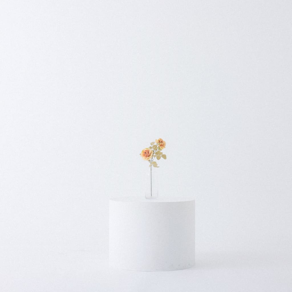 駅前店のスタジオで撮影しませんか？ | デコルテフォトグラフィー | 前撮り・フォトウェディング