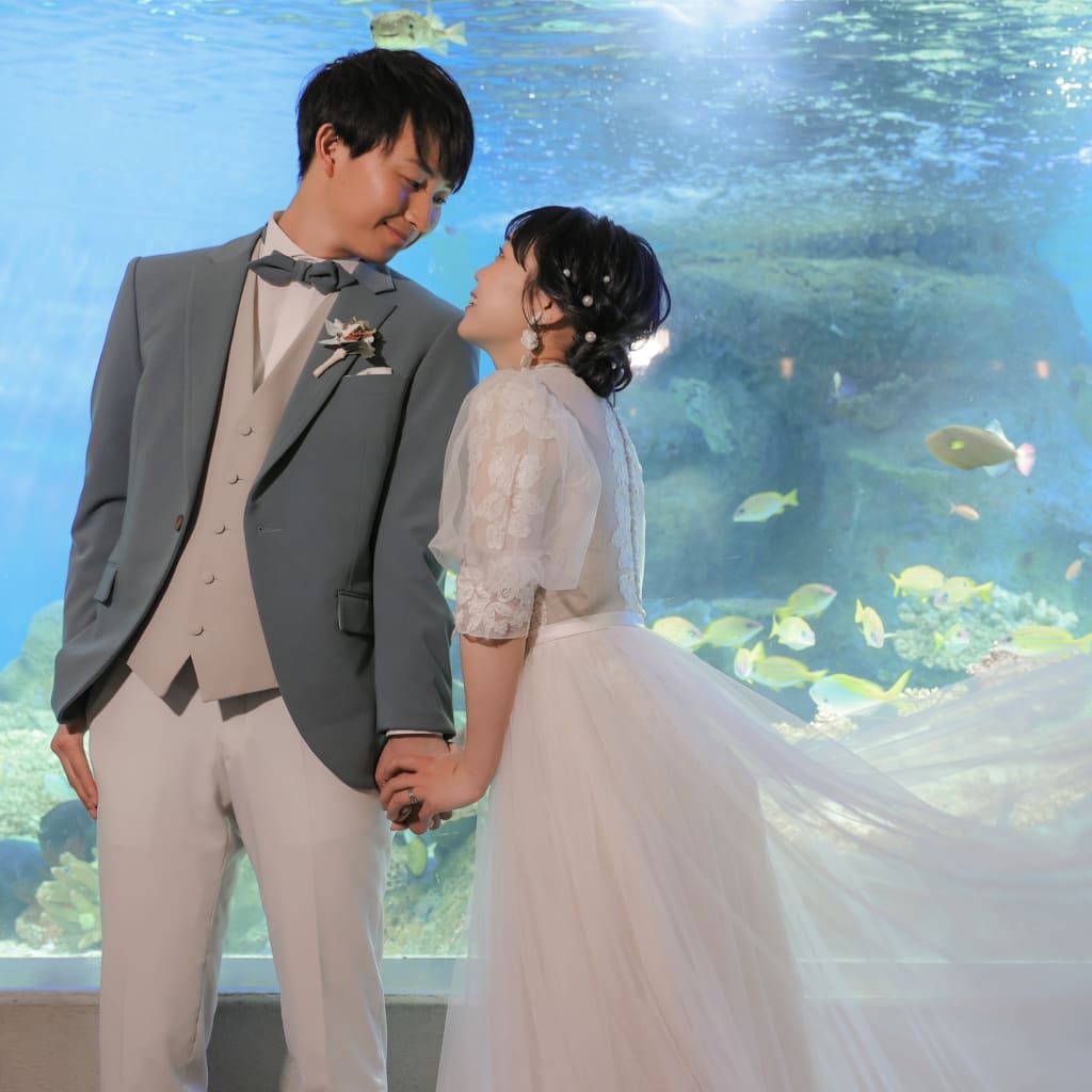 たくさんの生き物の中で思い出と写真を残せる！しながわ水族館撮影のご紹介♪