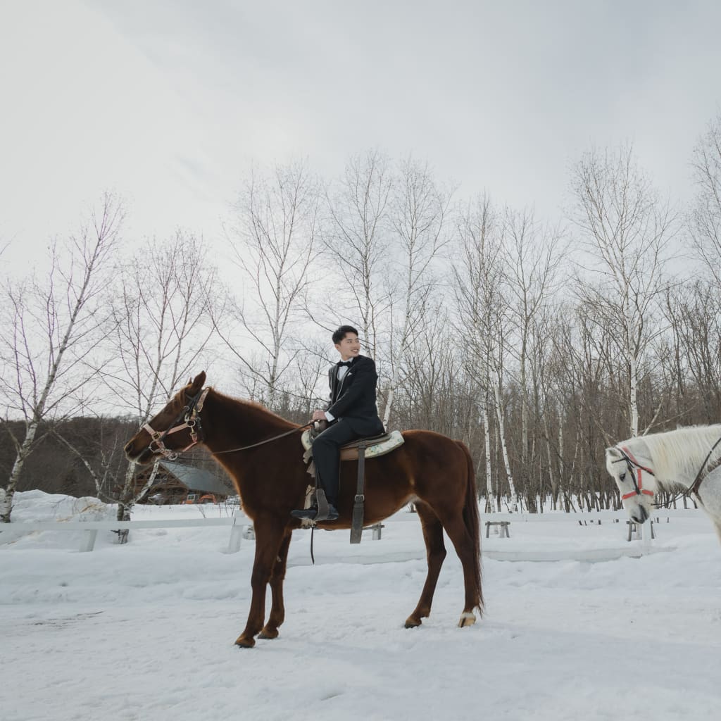 雪景色の動物フォトと丘