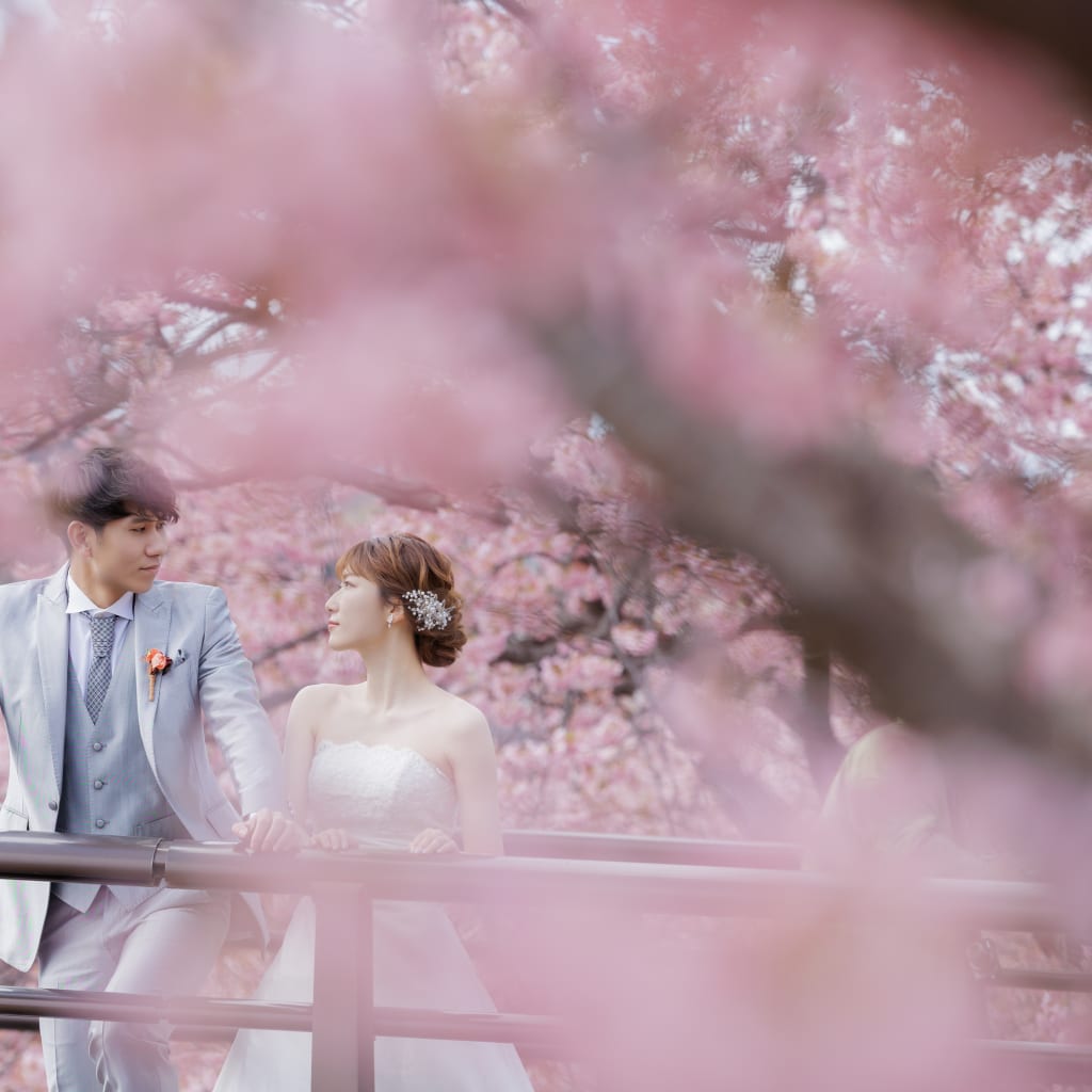河津桜ロケーション🌸 | デコルテフォトグラフィー | 前撮り・フォトウェディング