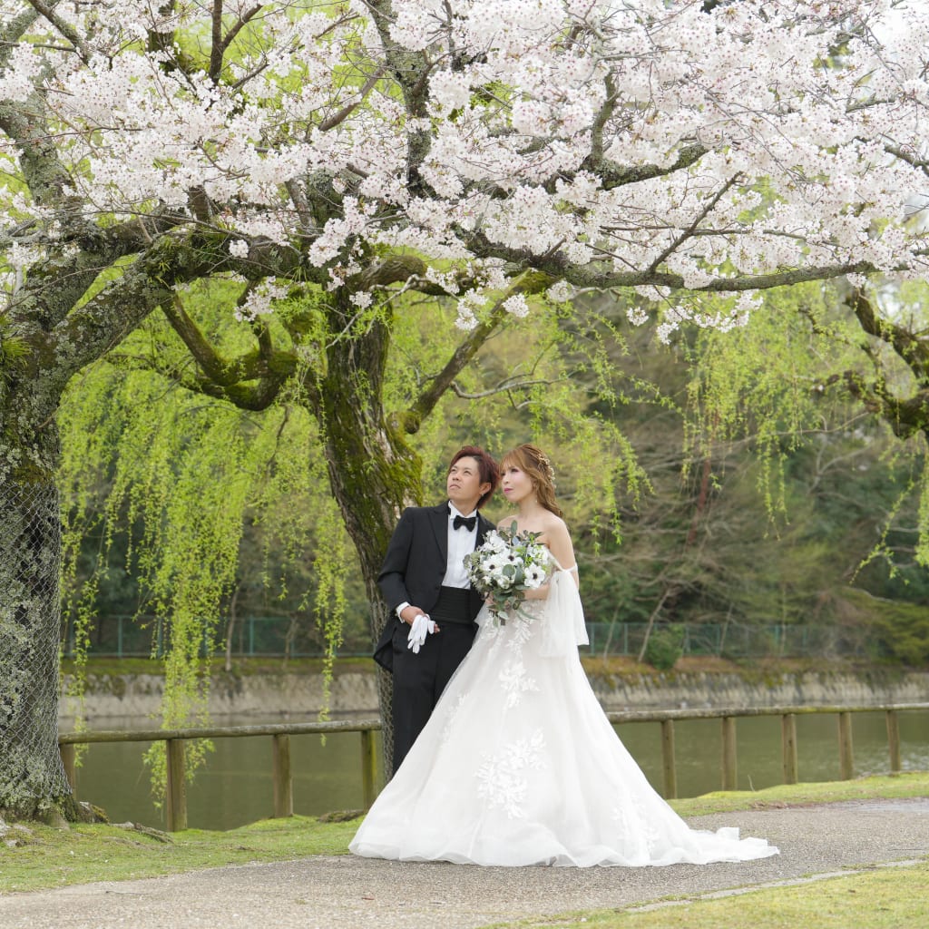 洋装奈良公園ロケーション | スタジオAQUA（東京・関東） | 前撮り・フォトウェディング