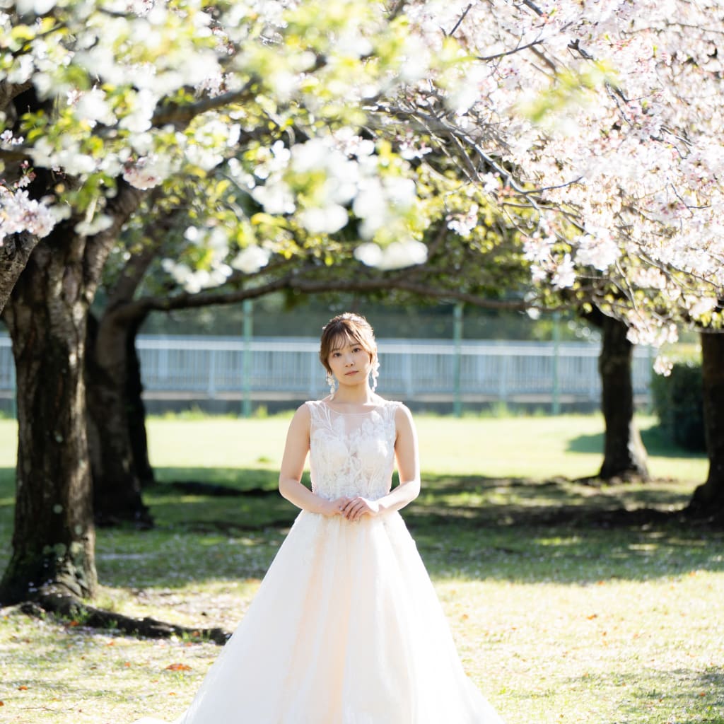 若松公園,桜2026-6
