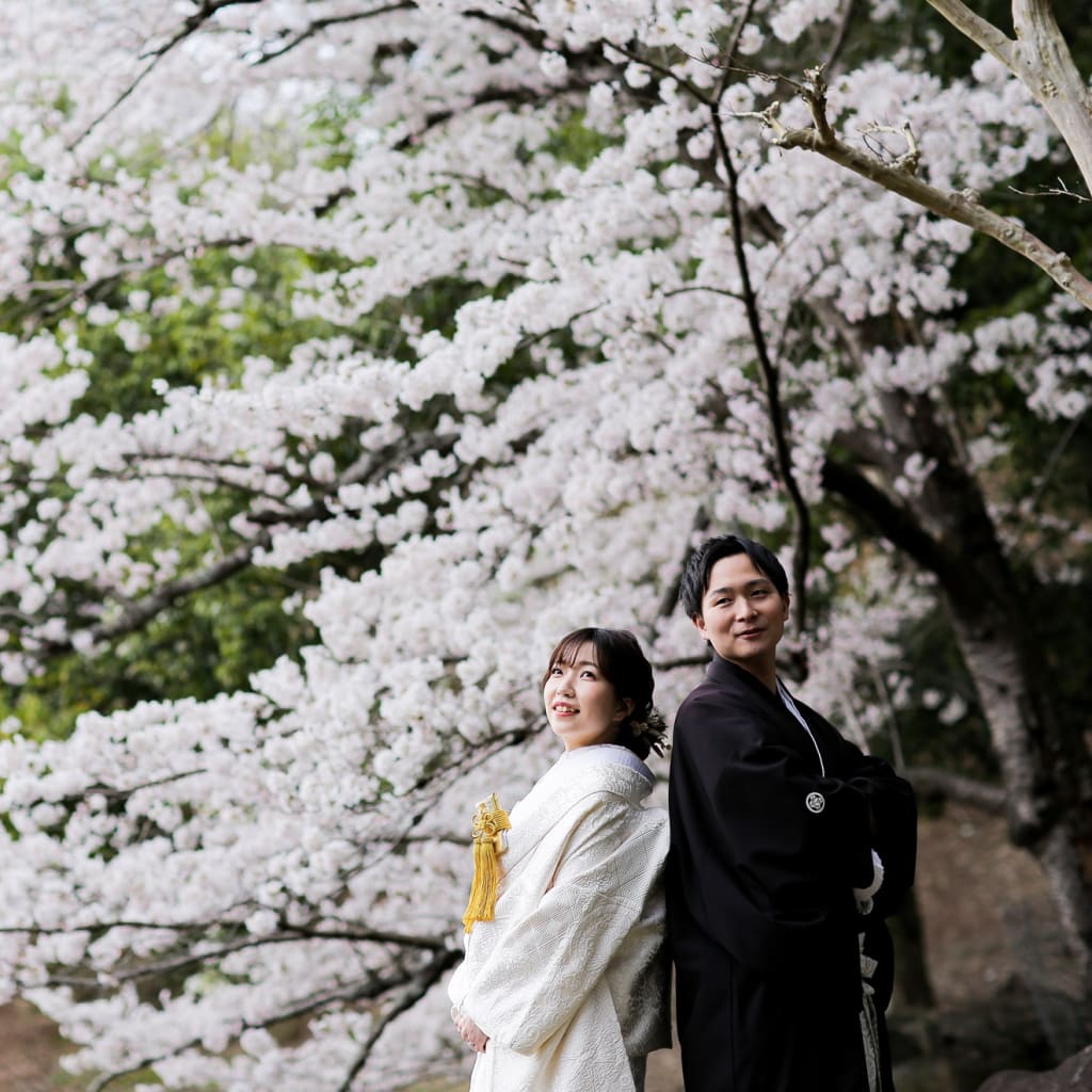 和装桜ロケーション撮影◎ | デコルテフォトグラフィー | 前撮り・フォトウェディング