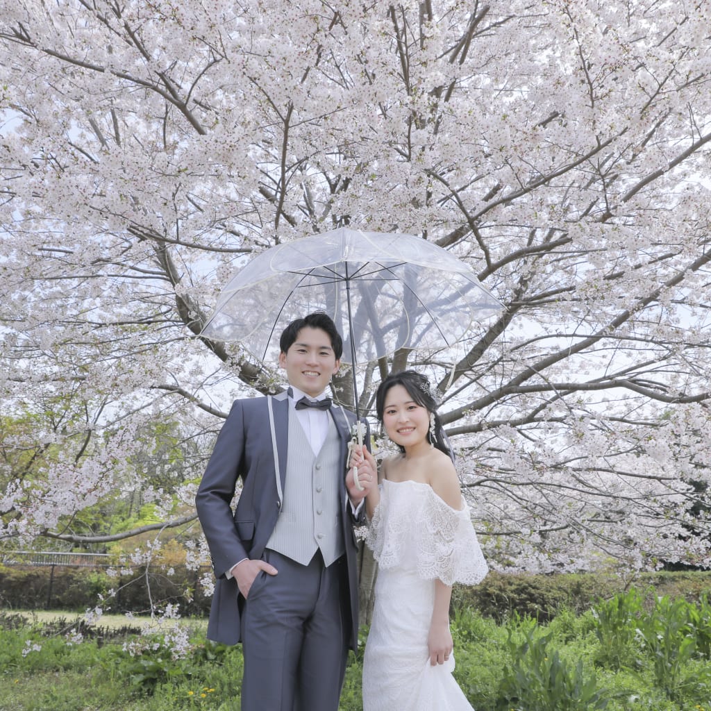 桜撮影で叶えたかった写真。 | デコルテフォトグラフィー | 前撮り・フォトウェディング