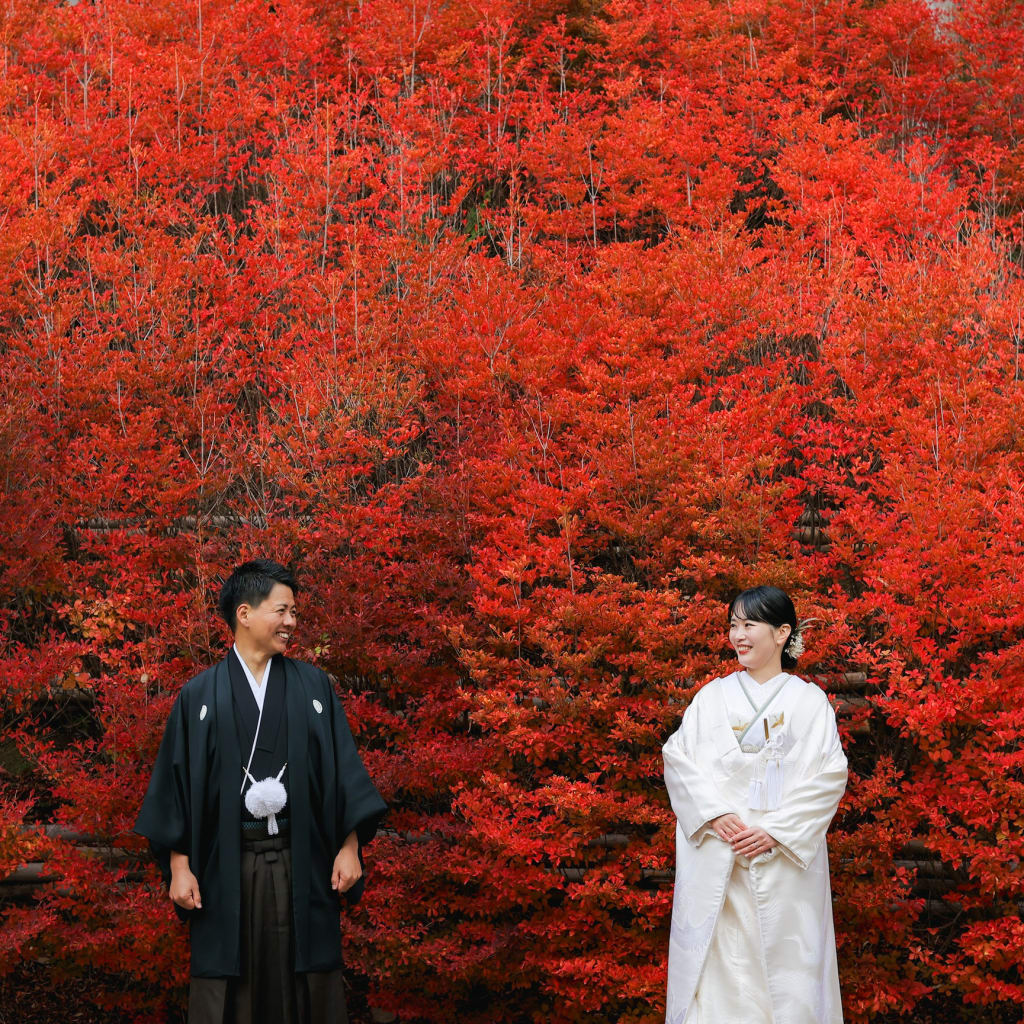 秋の新名所🍁 呑山観音寺