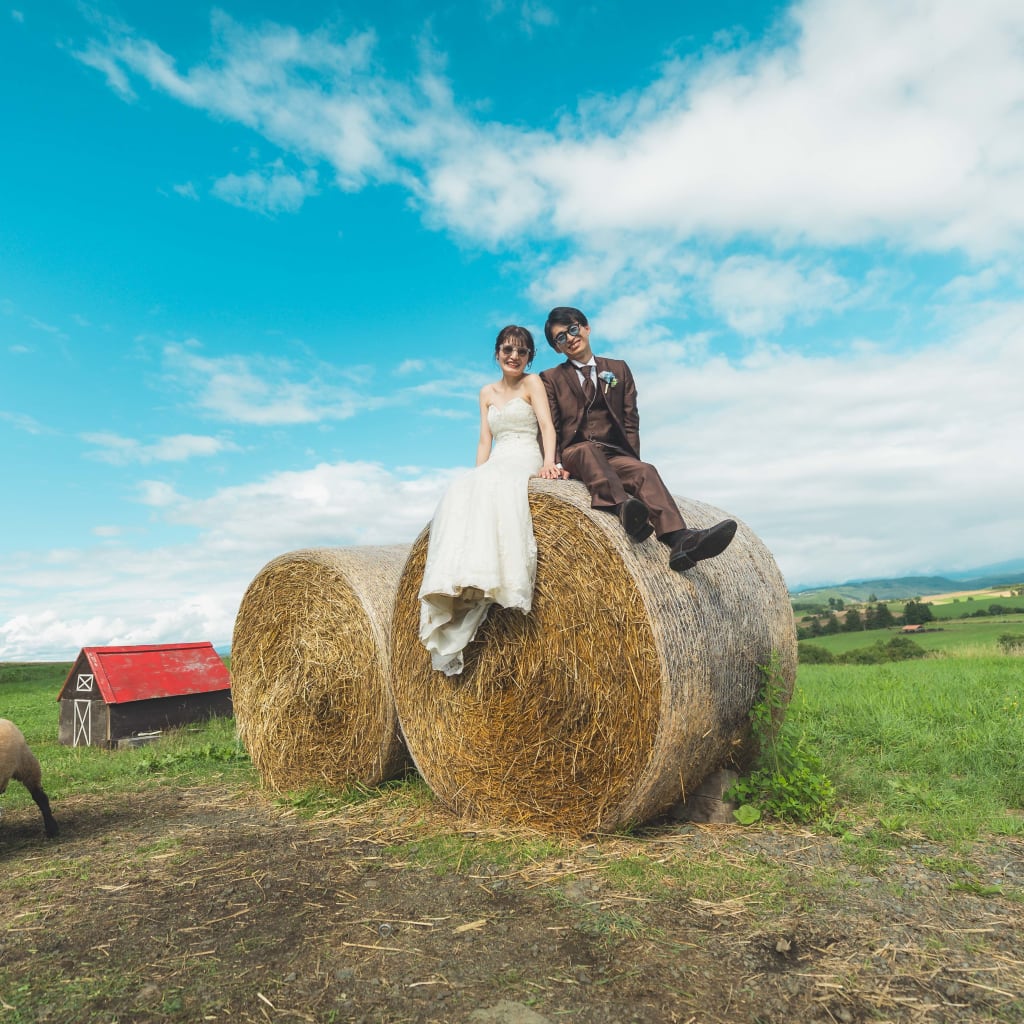 北海道の花畑と広大な景色