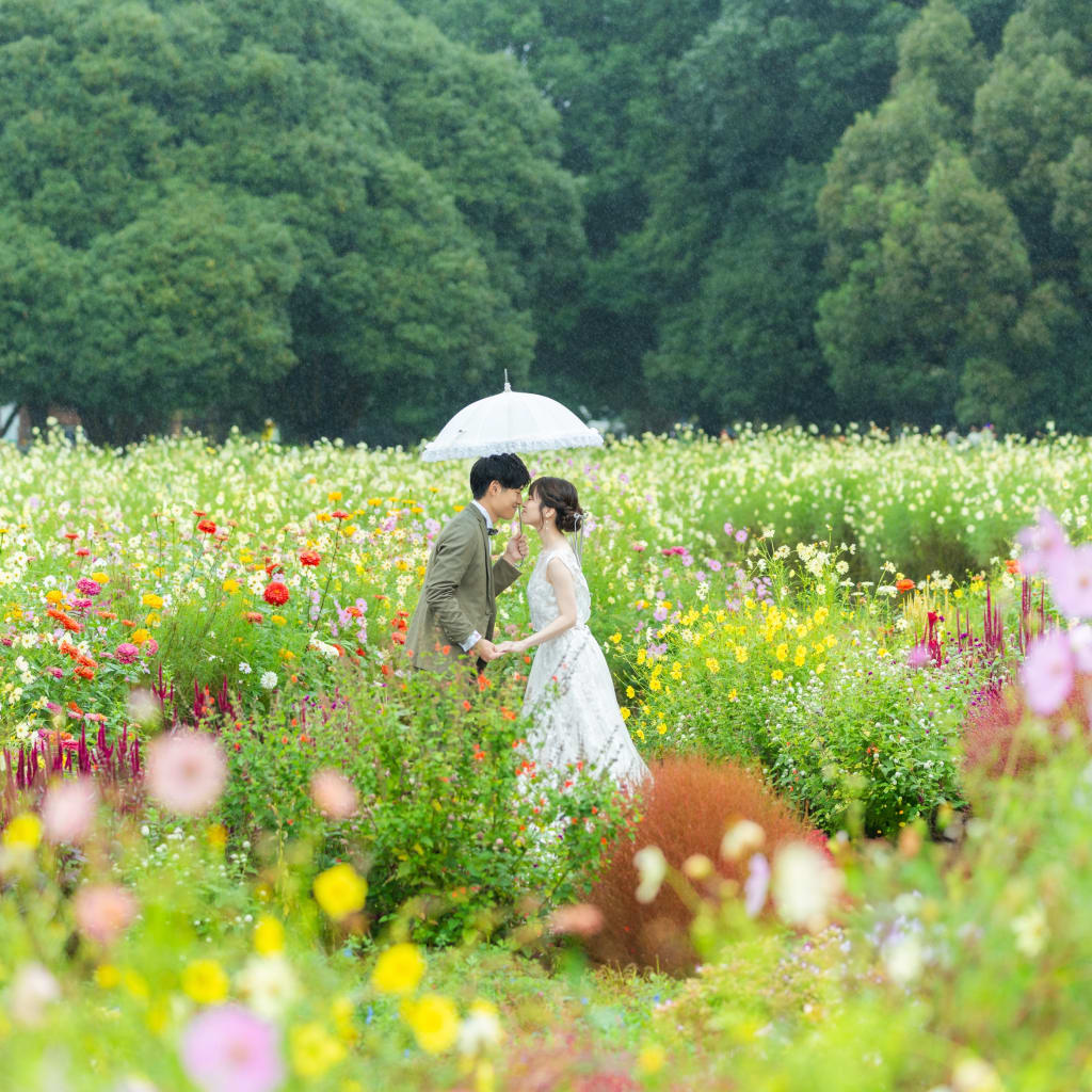 秋の昭和記念雨の日ロケーション