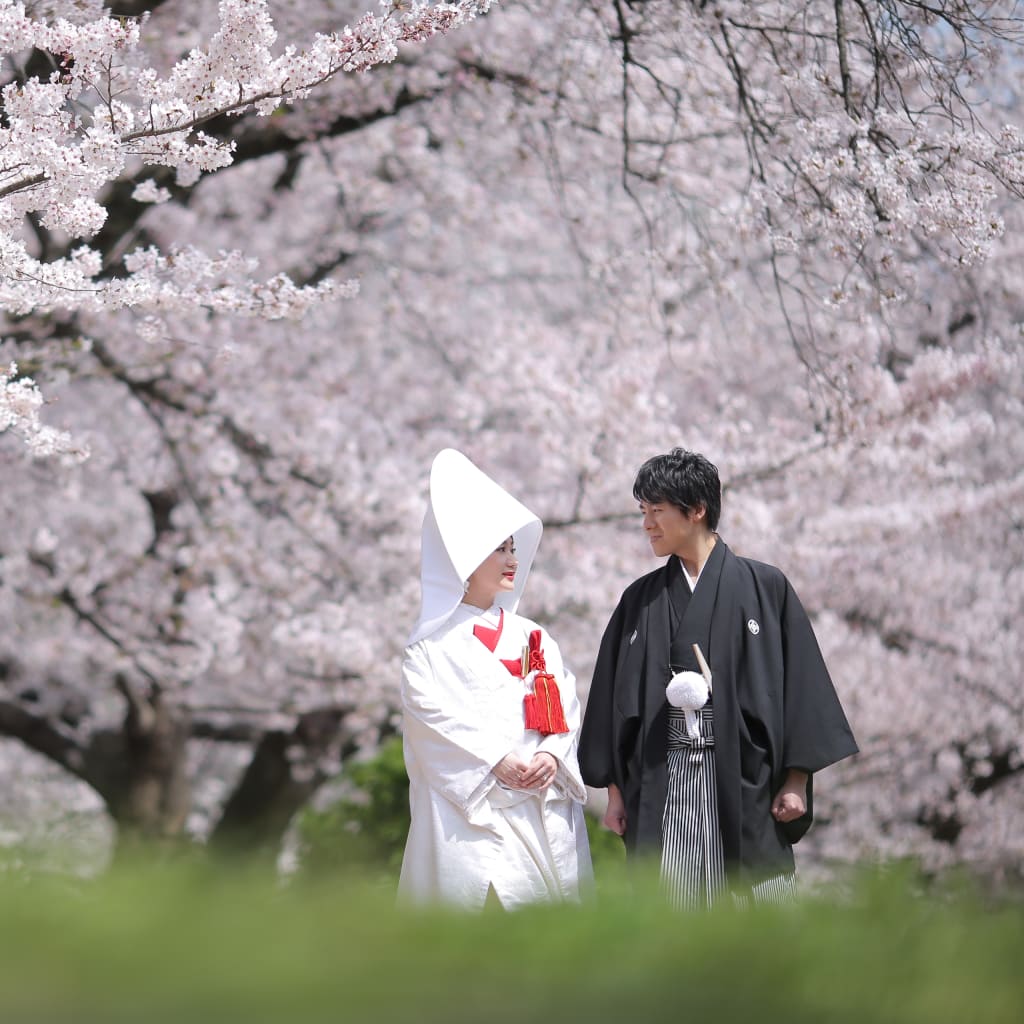 舞鶴公園