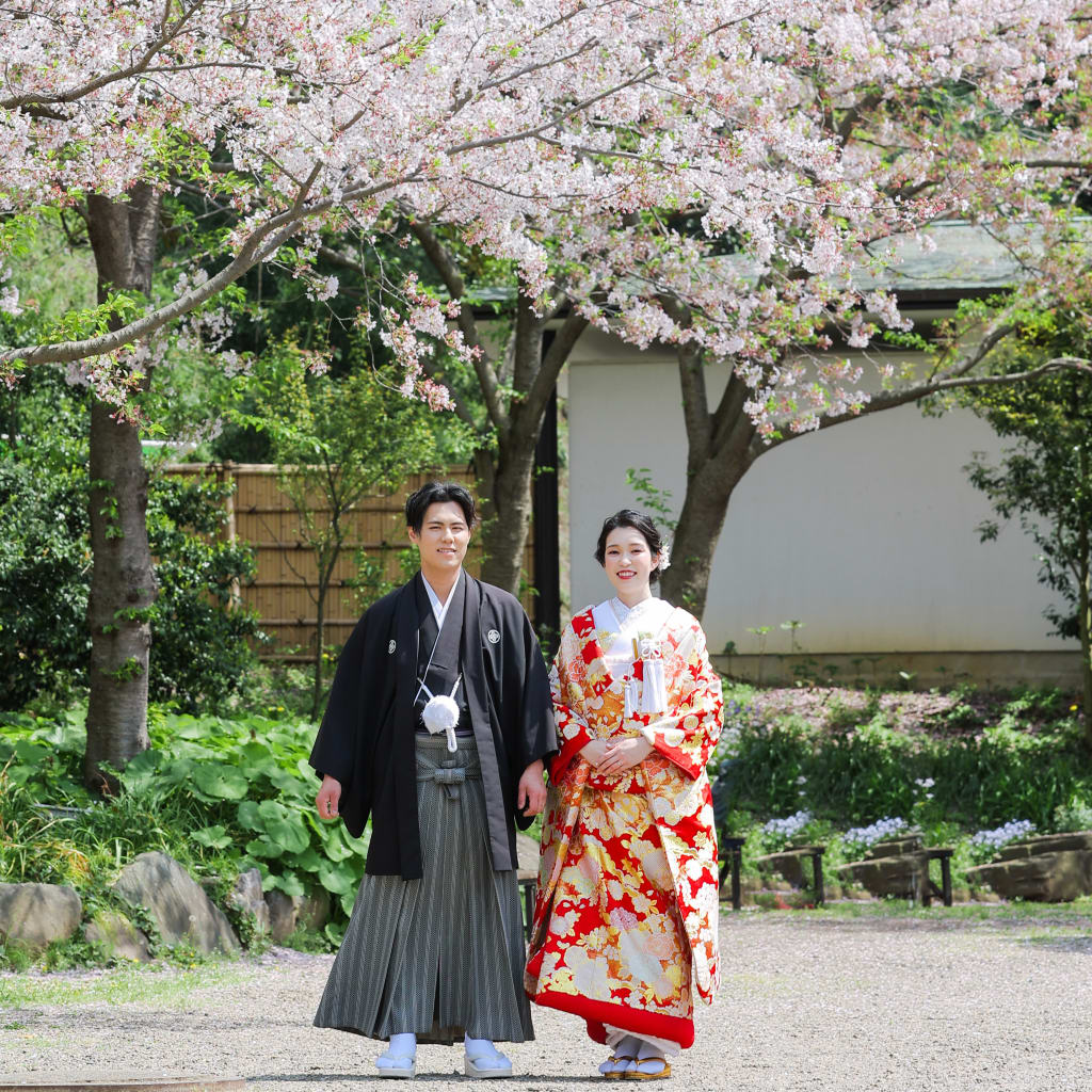 桜日和photo by谷澤明美 | デコルテフォトグラフィー | 前撮り・フォトウェディング