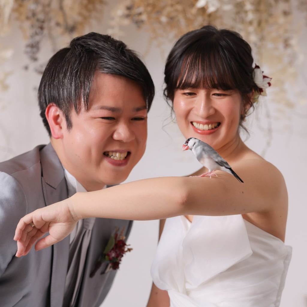 ペット撮影は浅草店で！ | デコルテフォトグラフィー | 前撮り・フォトウェディング