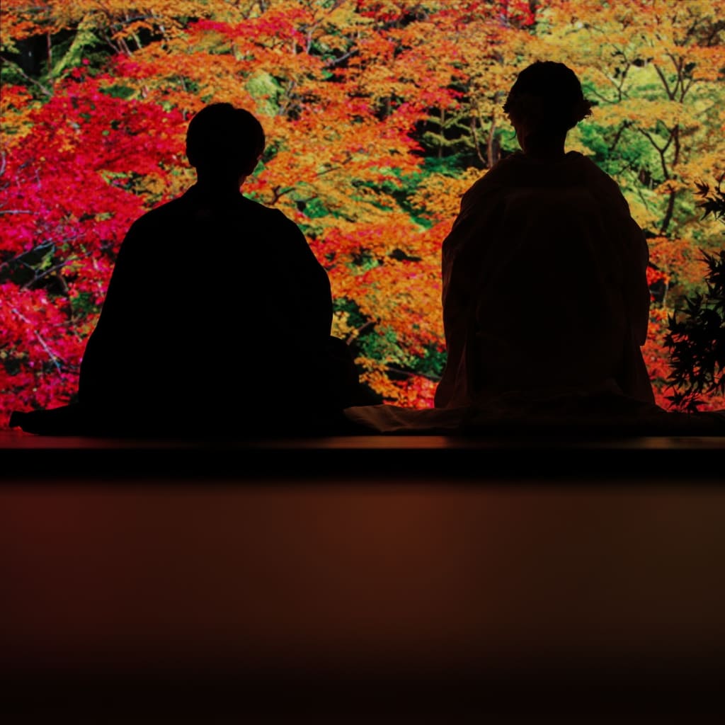 実はこれスタジオ写真です！！