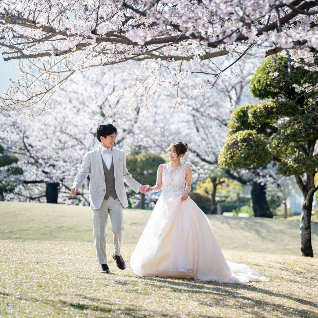 若松公園,桜2026-1