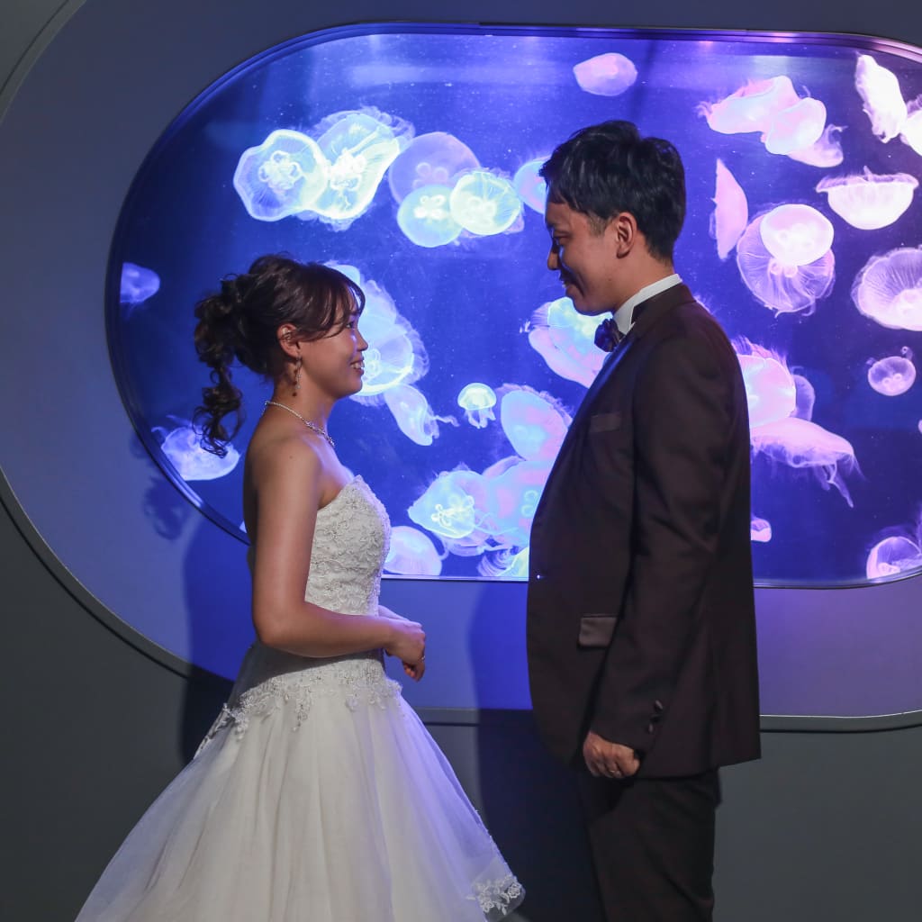 🐠マリンワールドロケーション🐬 | デコルテフォトグラフィー | 前撮り・フォトウェディング