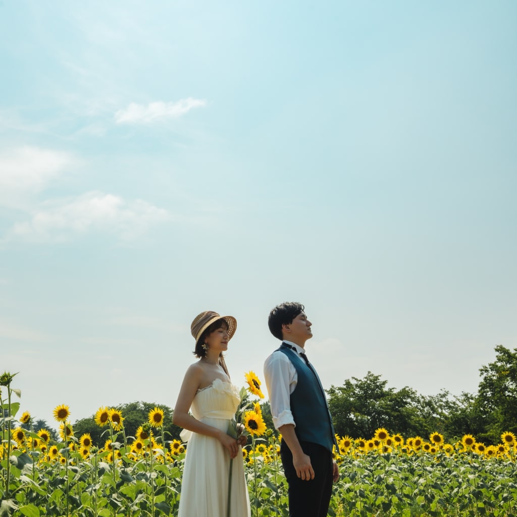 昭和記念公園のひまわり🎶 | デコルテフォトグラフィー | 前撮り・フォトウェディング