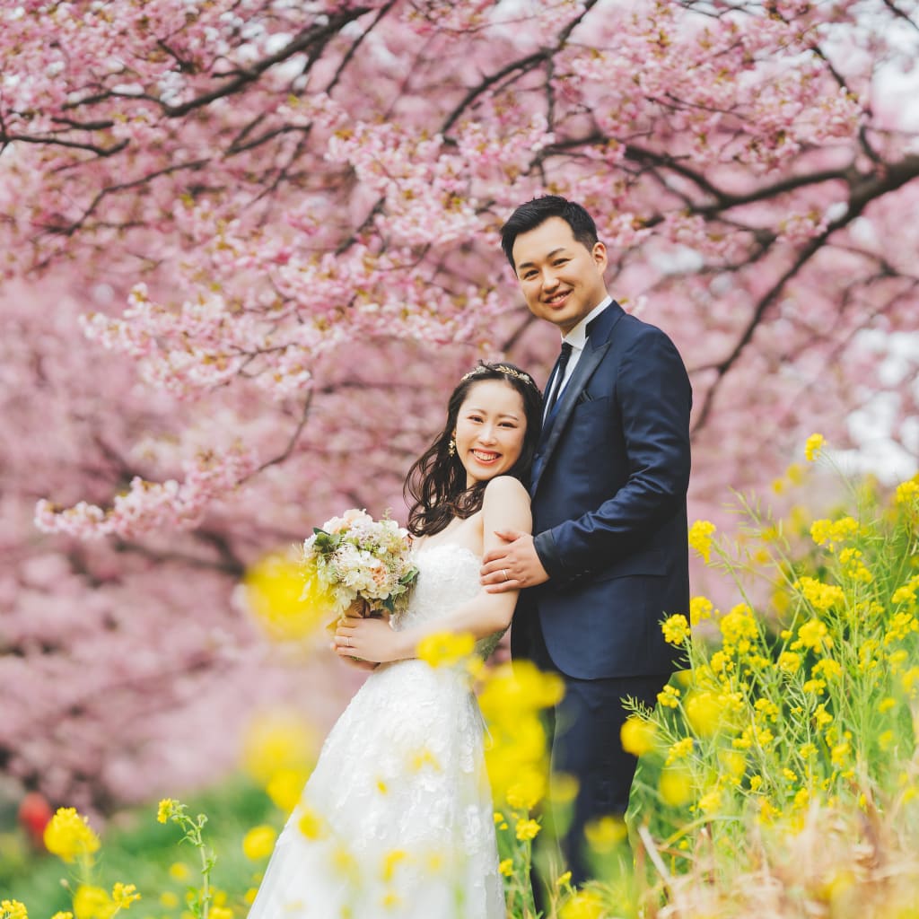 南伊豆河津満開の桜と菜の花で撮影