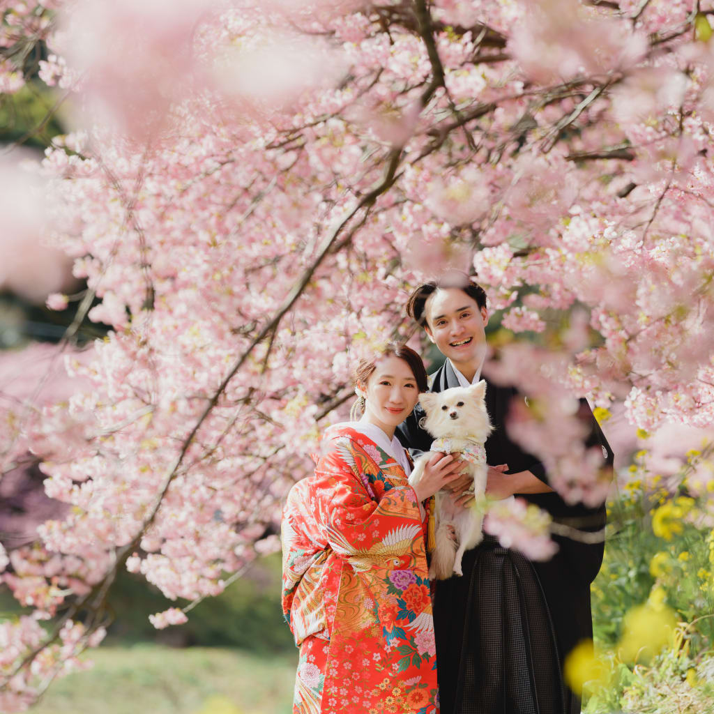 ワンちゃんと一緒に！和装河津ロケーション | デコルテフォトグラフィー | 前撮り・フォトウェディング