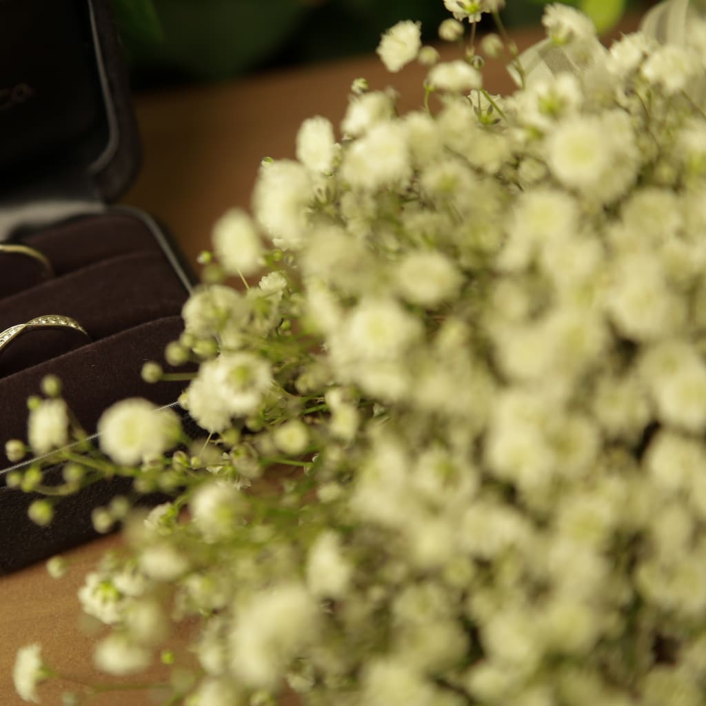 KKR | デコルテフォトグラフィー | 前撮り・フォトウェディング