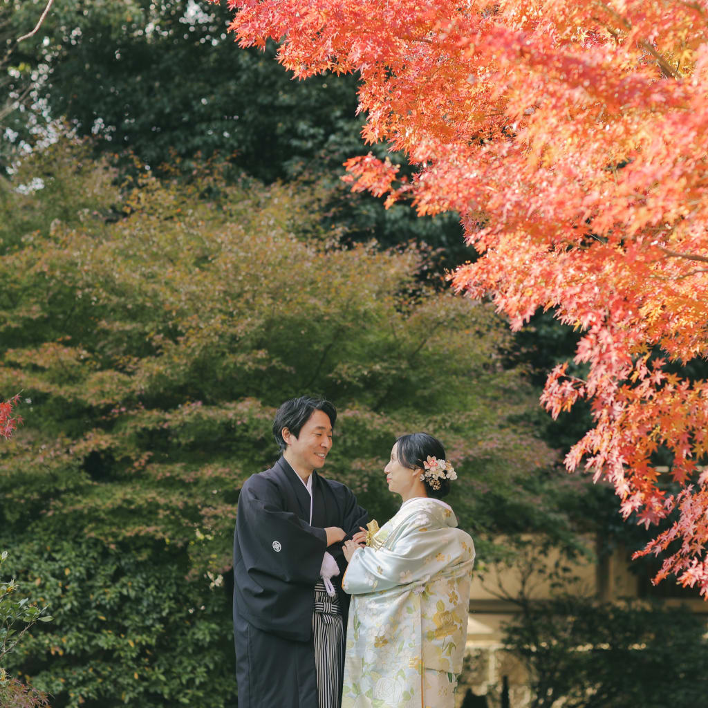 秋＿紅葉の太山寺