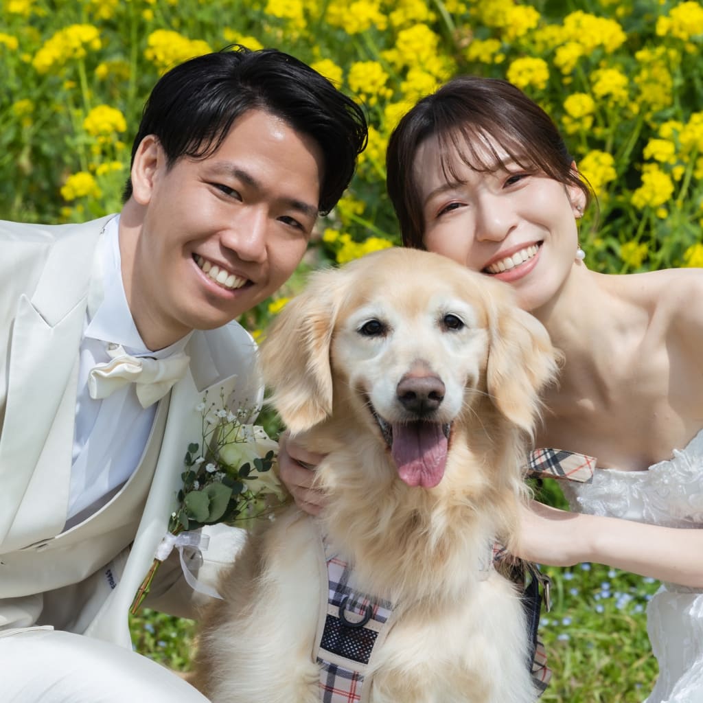 春爛漫！桜と菜の花、愛犬と叶えるウェディングフォト