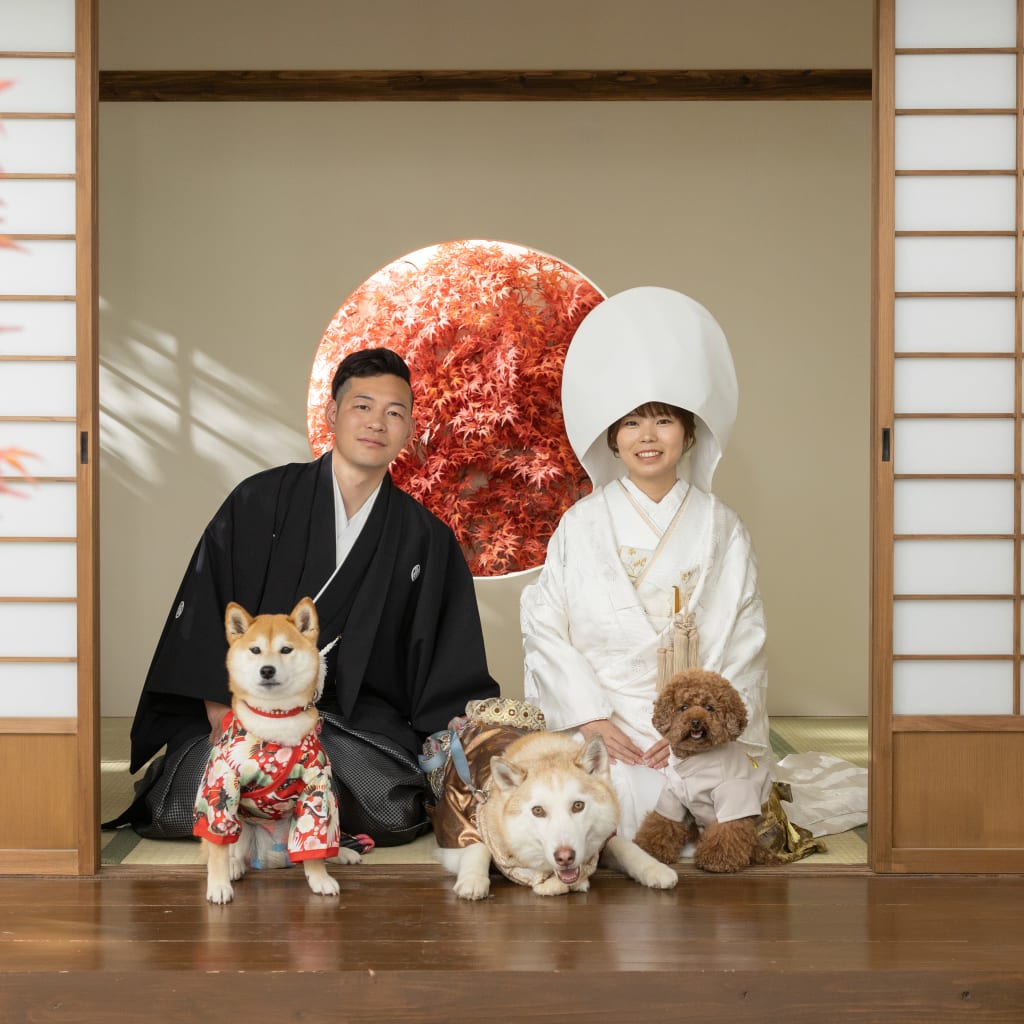 わんちゃん3匹と屋内庭園撮影！！ | デコルテフォトグラフィー | 前撮り・フォトウェディング