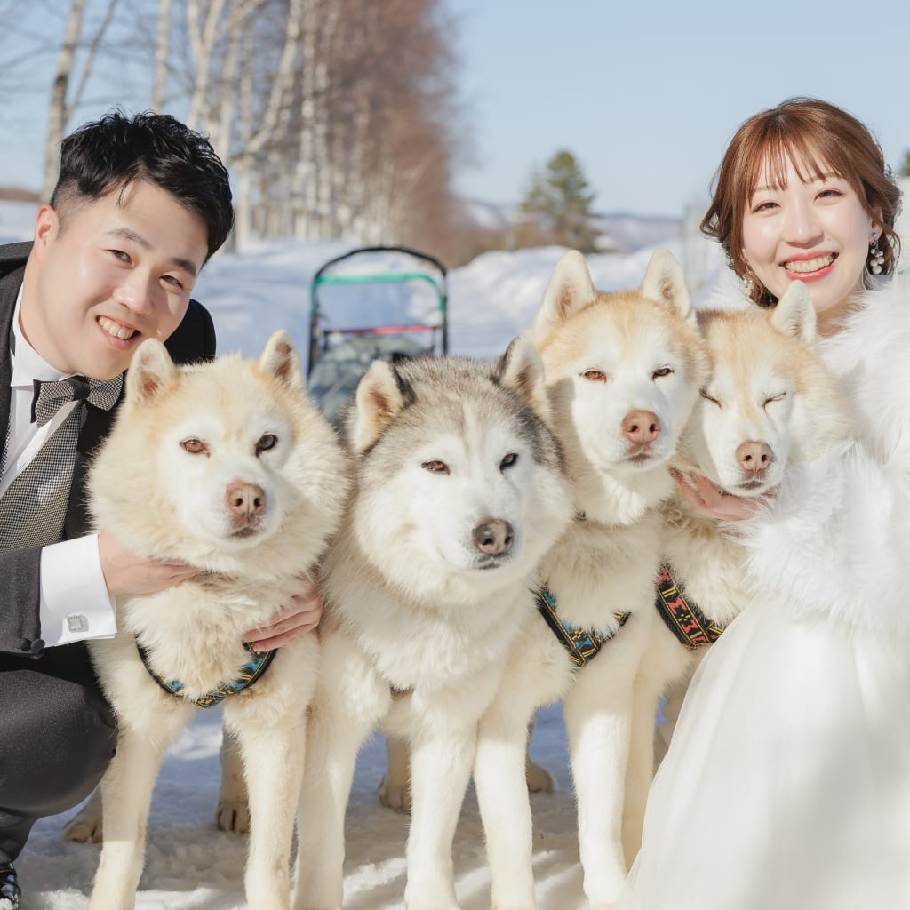 今年からの新プラン、犬ぞり体験も