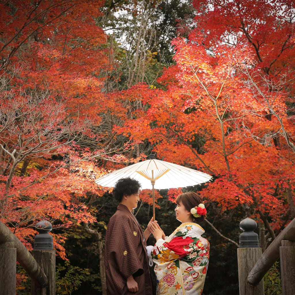 モリコロパーク