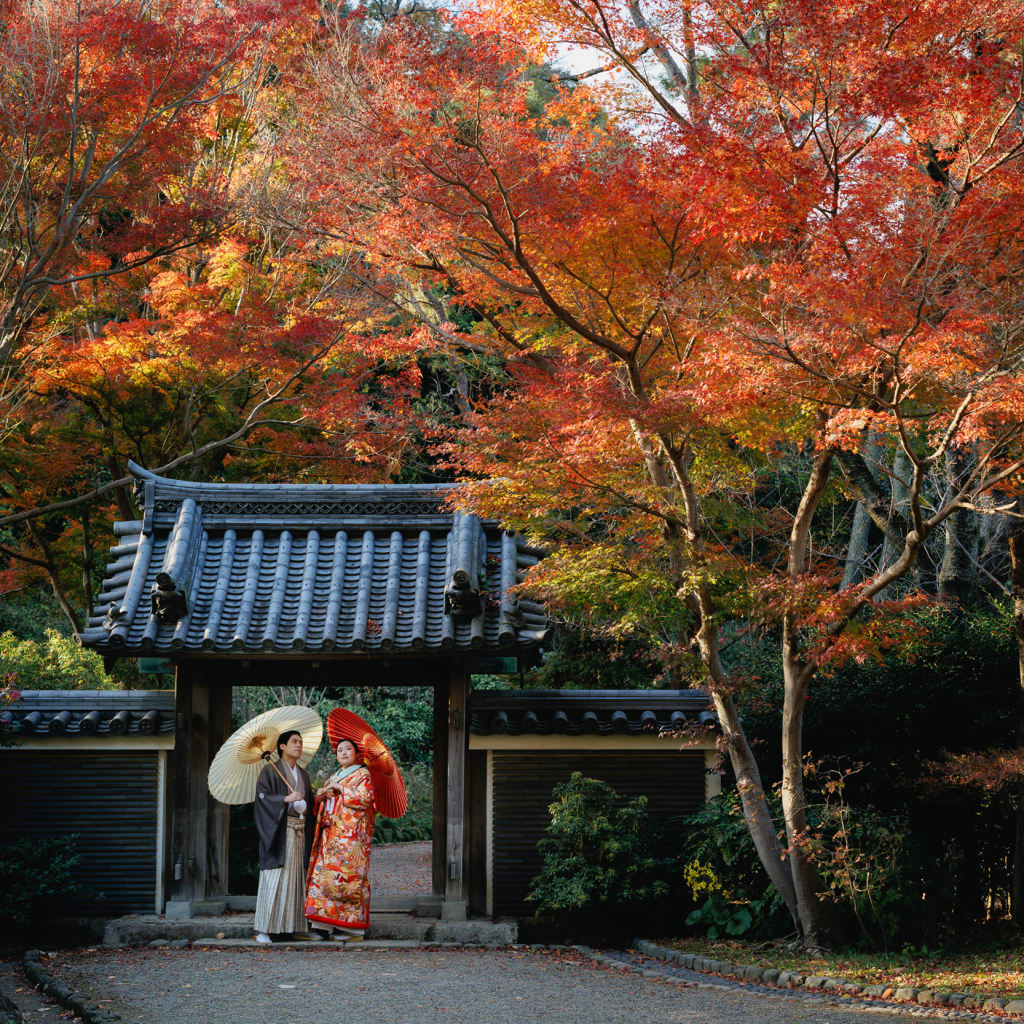 紅葉の綺麗な三溪園 | デコルテフォトグラフィー | 前撮り・フォトウェディング