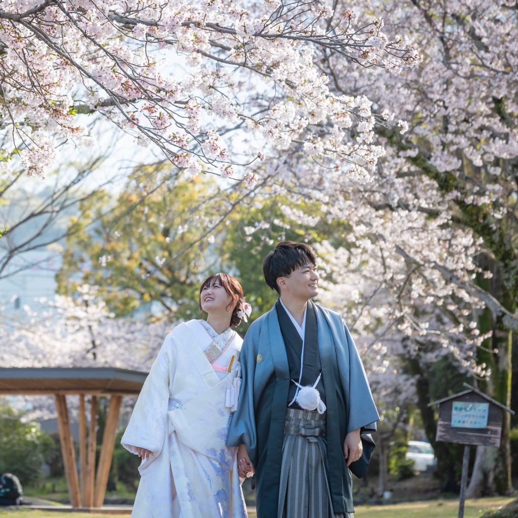桜満開！浅間大社ロケーション撮影