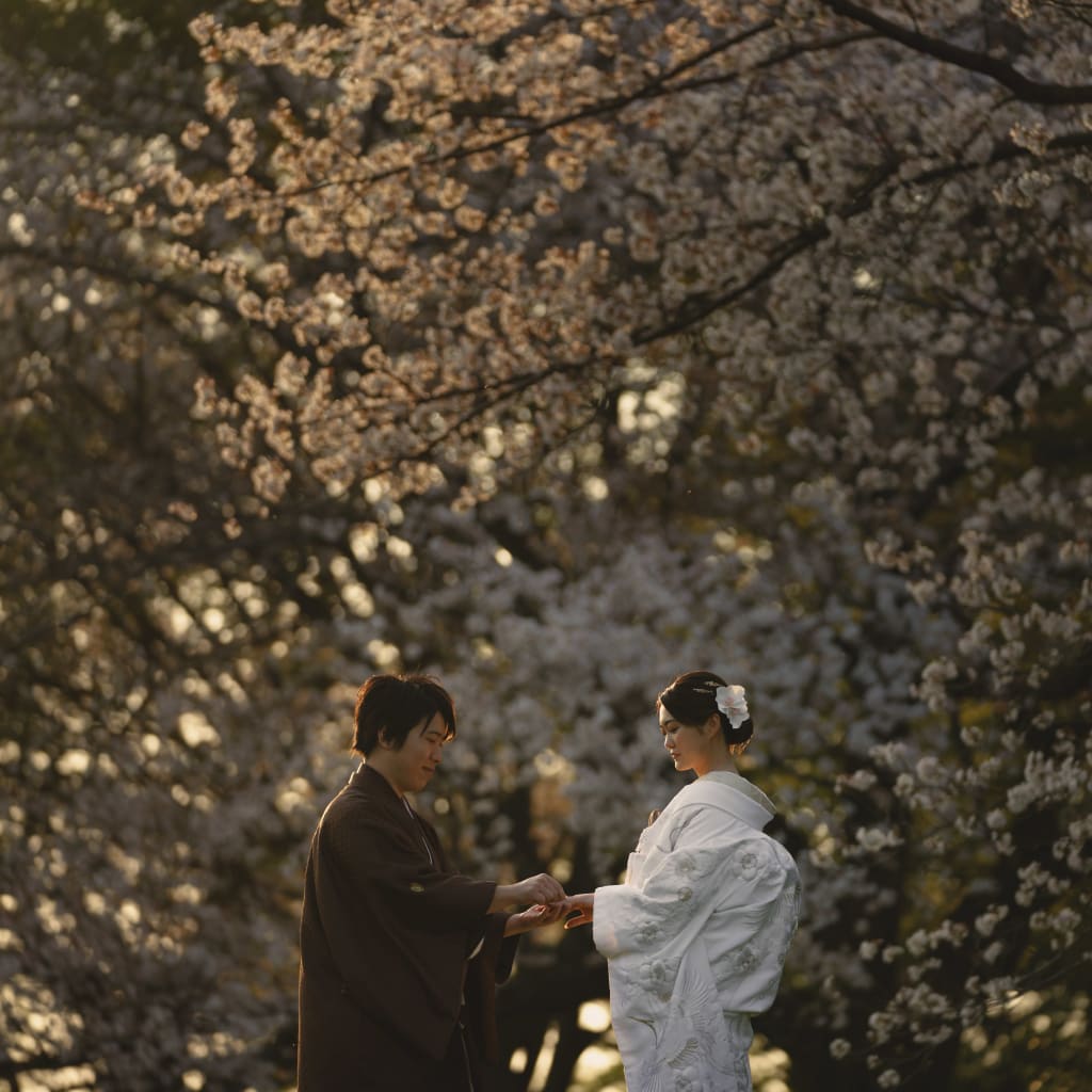 夕陽と桜の相性の良さ