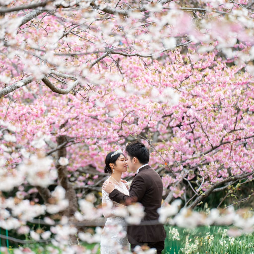 河津桜プランで一足先の春ロケーション