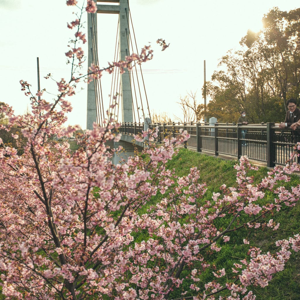 山田池公園