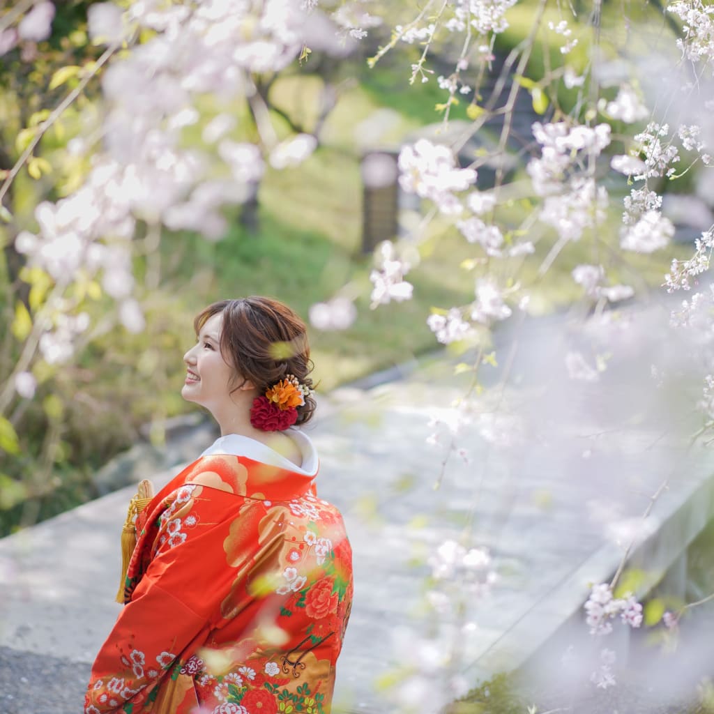 花田苑　桜