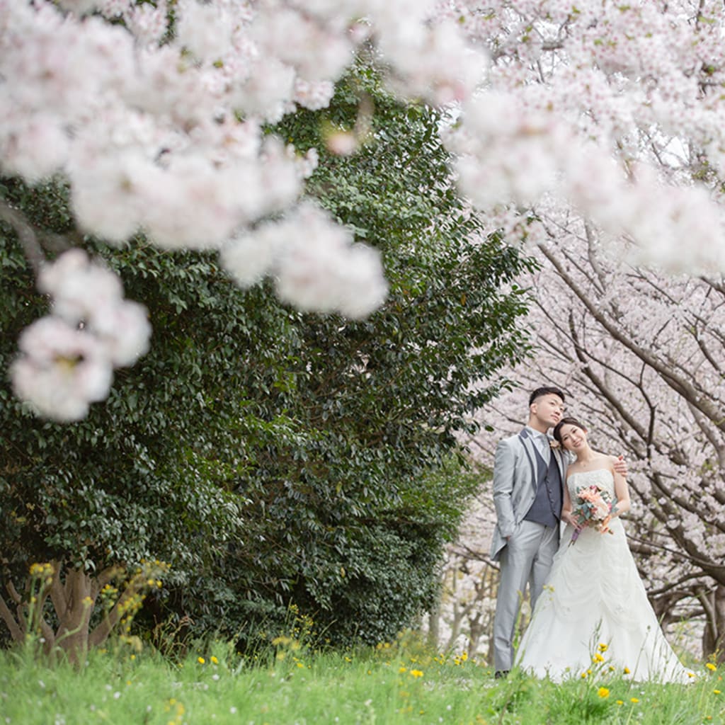 桜ロケーションとウェディングドレスで | デコルテフォトグラフィー | 前撮り・フォトウェディング