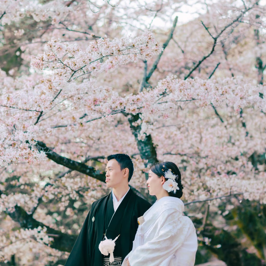 奈良の桜 | デコルテフォトグラフィー | 前撮り・フォトウェディング