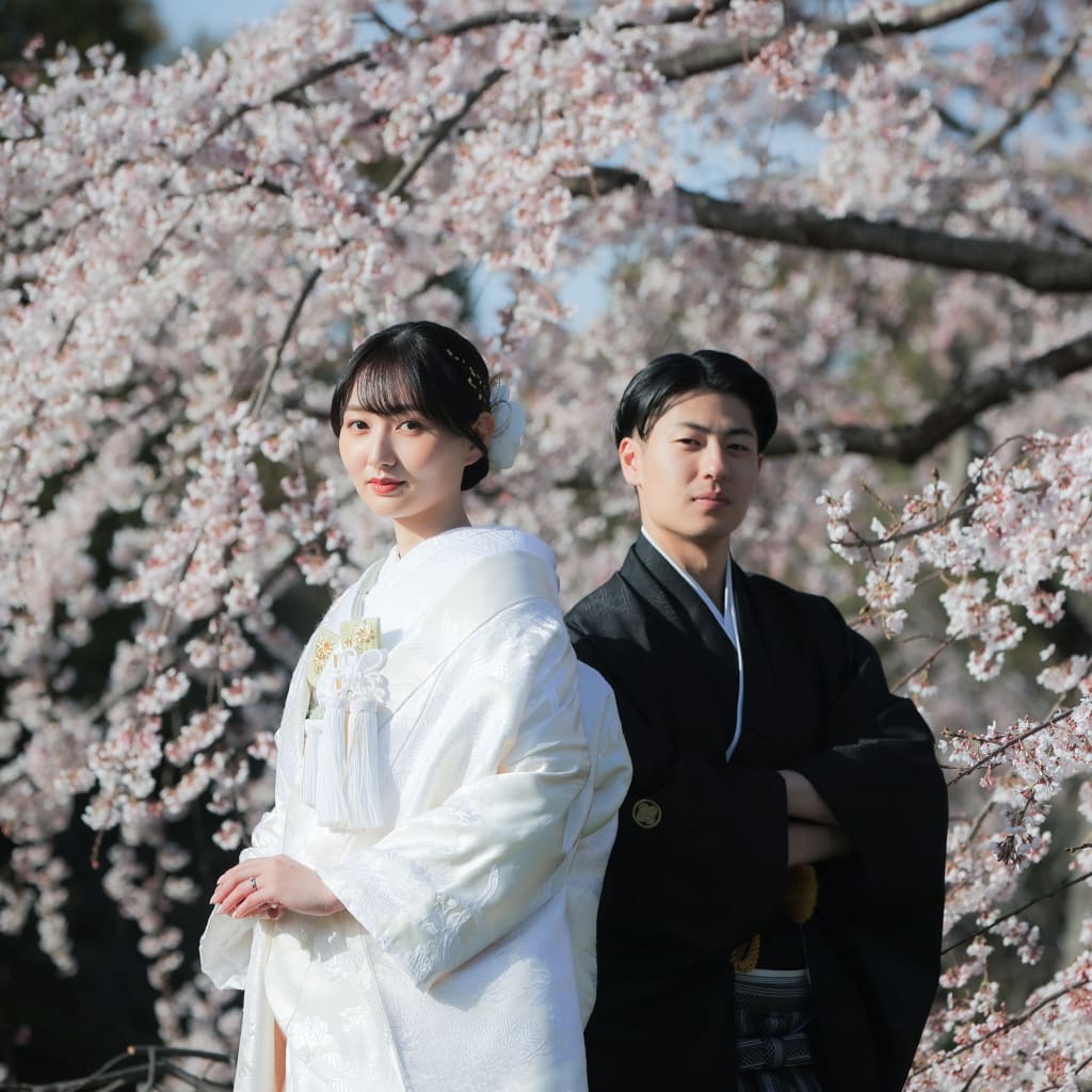 桜ロケーション | デコルテフォトグラフィー | 前撮り・フォトウェディング