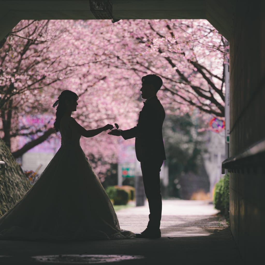 桜に包まれる、幸福の並木道。伊豆高原で叶えた大人の春ロケ | デコルテフォトグラフィー | 前撮り・フォトウェディング