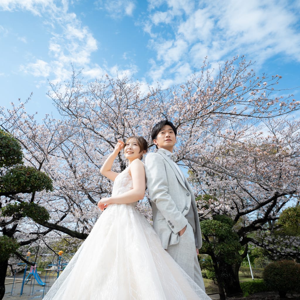 若松公園,桜2026-4