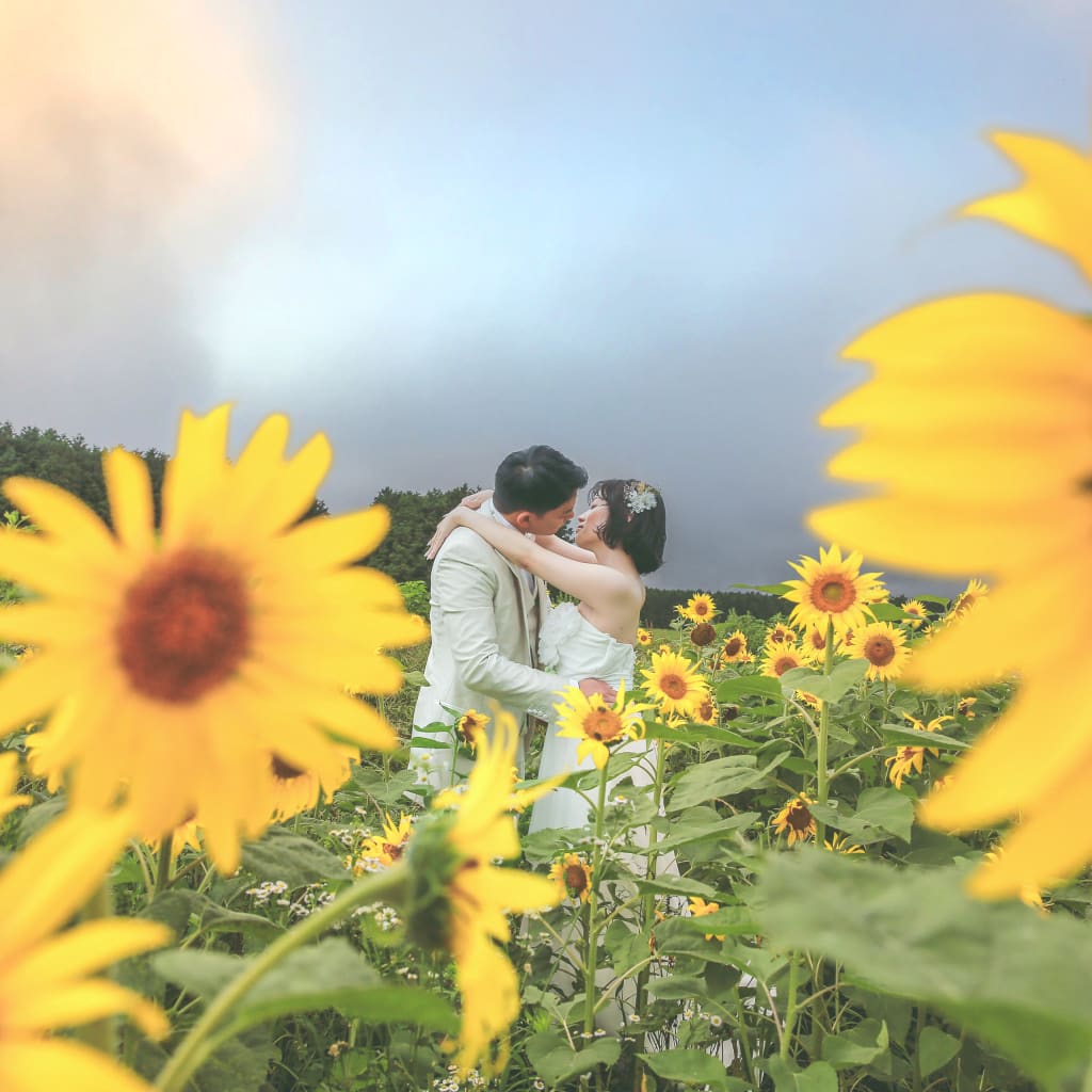 ひまわりや緑のロケーションフォト | デコルテフォトグラフィー | 前撮り・フォトウェディング