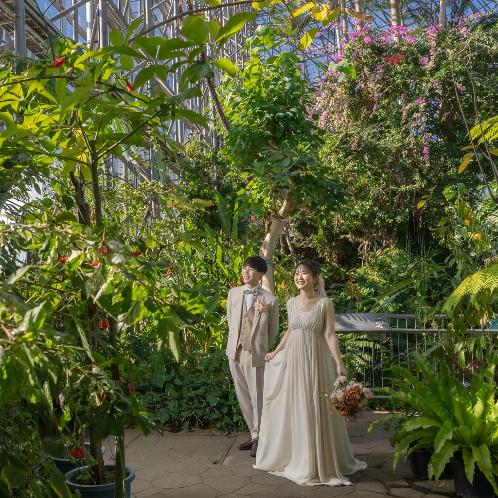 夢の島熱帯植物館