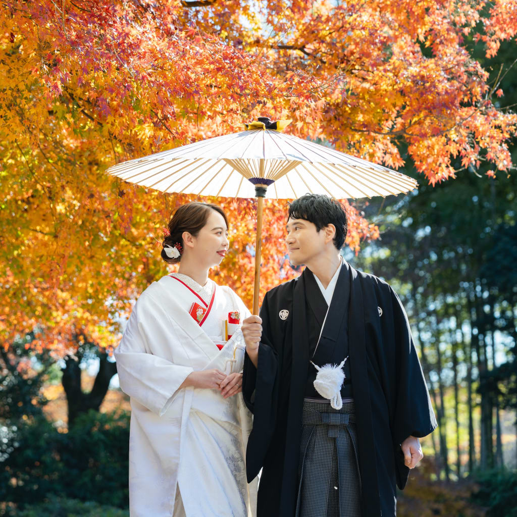 和装で紅葉撮影
