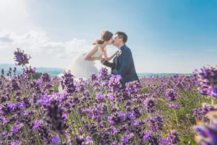 【美瑛店】富良野 or 美瑛の花畑