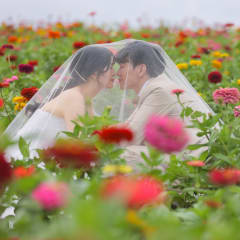 フェア限定特典付き】いい夫婦の日 ウェディングフォトフェア