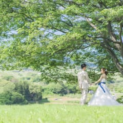 【3日間限定開催！】旅×結婚写真ならおまかせ！リゾートフェア開催中