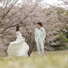 春さきどりフェア♪