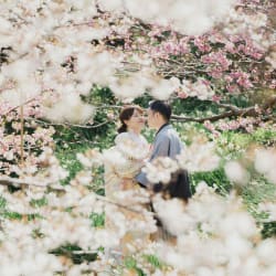 伊豆で自然を満喫！